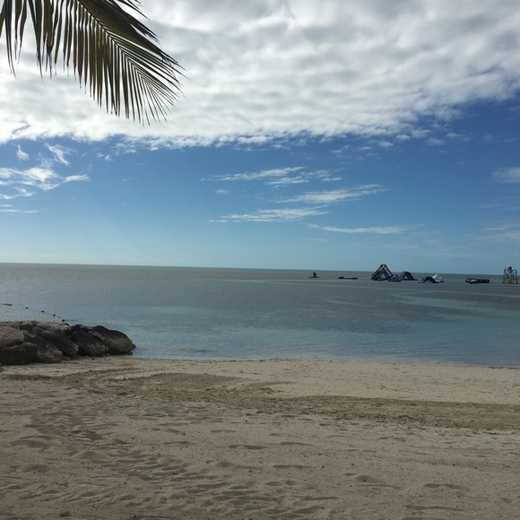 Meet your Posher, Latrice - Picture 2 of 2